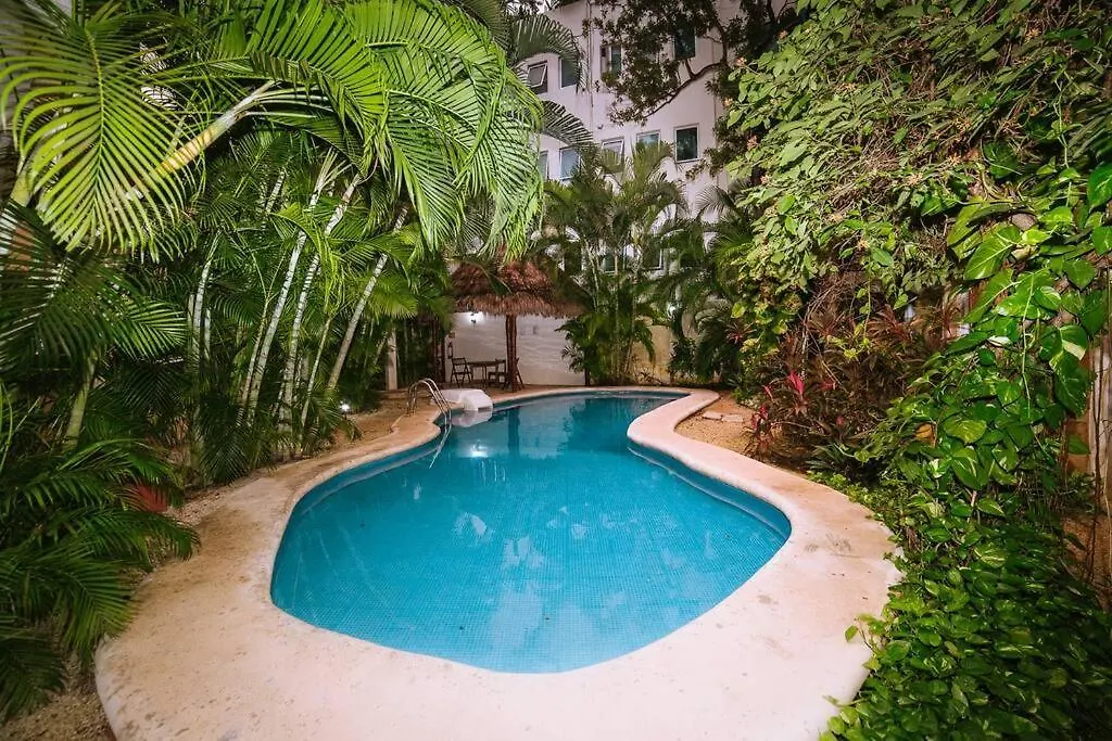 2Br Apart Steps From Mamitas Beach And 5Th Av Playa del Carmen Mexique